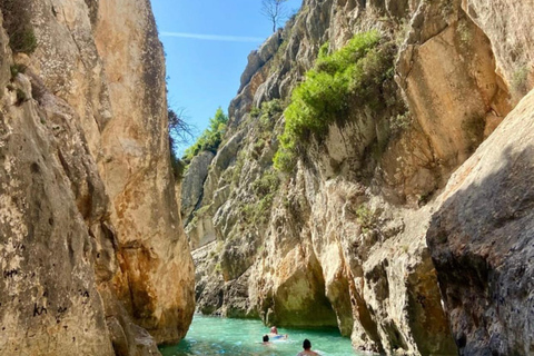 Zakynthos: Private Speedboat Tour to the Shipwreck and swim