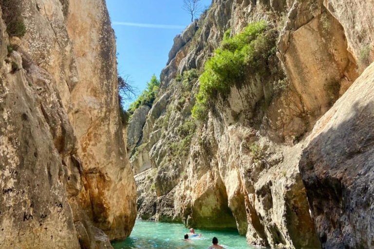Zakynthos: Private Speedboat Tour to the Shipwreck and swim