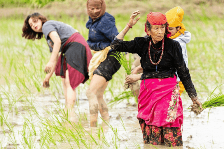 Kathmandu: Monsoon Magic! Eat, Explore, Capture the Rain