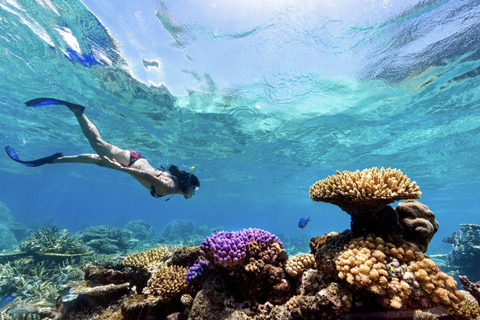 Nusa Penida: Snorkeling Adventure at Manta Point Sharing Boat: Manta Point & Gamat Bay Adventure