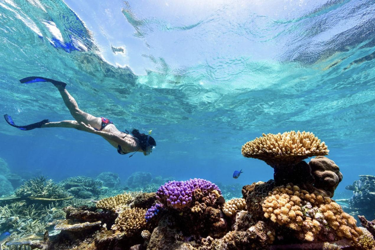 Nusa Penida: Snorkeling Adventure at Manta Point Sharing Boat: Manta Point & Gamat Bay Adventure