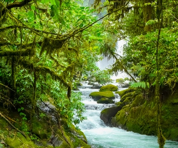 From San Jose: La Paz Waterfall Garden & Rainforest Tour