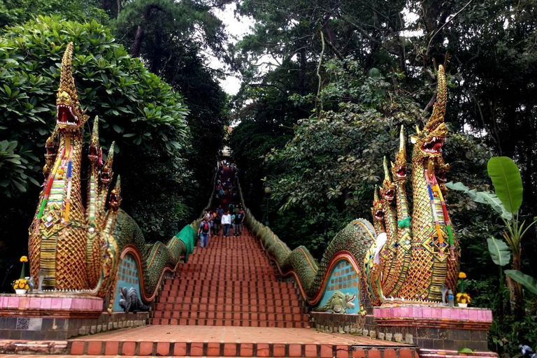 Chiang Mai:Wat Pha Lat,Doi Suthep&Sticky Waterfall Day Trip