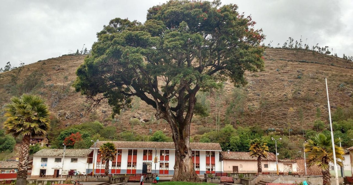 Choquequirao Trekking 4Days/3Nights | GetYourGuide