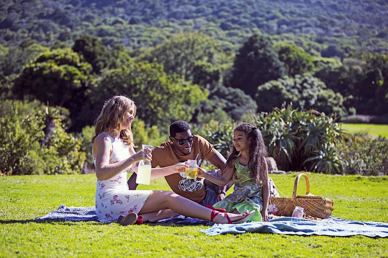 Kirstenbosch trädgård, Bo-Kaap-pingviner och Kaphalvön