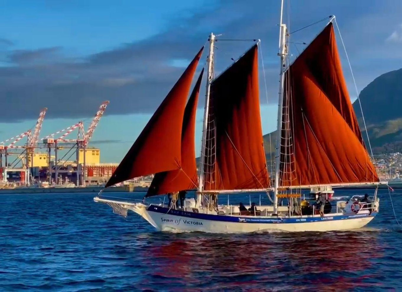 Cape Town: Solnedgangskrydstogt fra V&A Waterfront med bobler