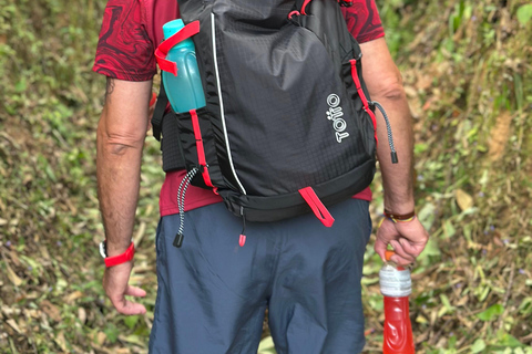 From Medellín: Coffee Farm Hiking & Exotic Fruit Marketplace