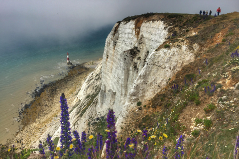 Von Cambridge aus: Geführte Tagestour nach Brighton &amp; Beachy Head