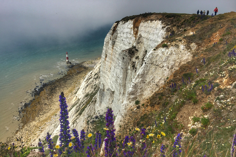 From Cambridge: Guided day trip to Brighton & Beachy Head