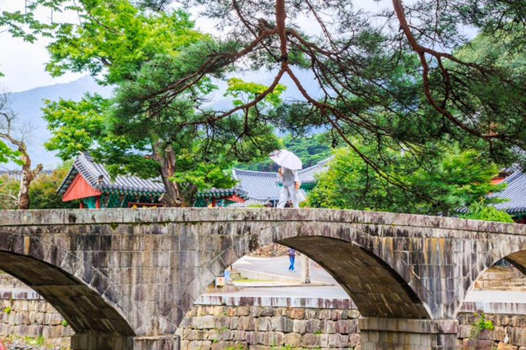 Busan: Discovery Tour With Snow &amp; UNESCO Spot