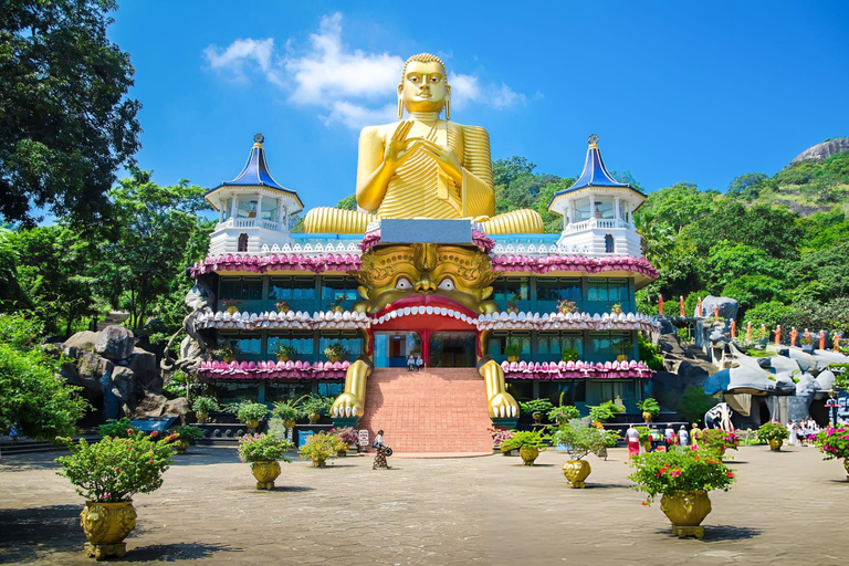 Eco Trails:Colombo to Sigiriya and Minneriya Safari Day Tour