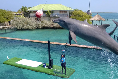 Cartagena: Rosario Oceanarium, Snorkel & Swim with Dolphins Cartagena: Rosario Islands Tour with Oceanarium & Snorkeling