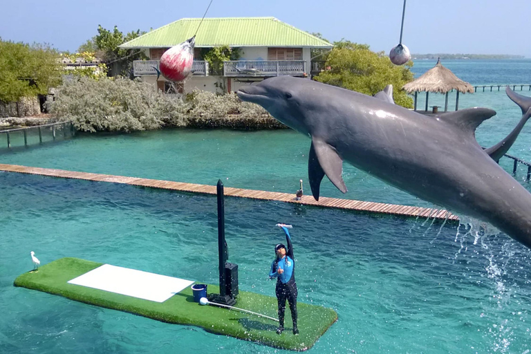 Cartagena: Rosario Oceanarium, Snorkel & Swim with Dolphins Cartagena: Rosario Islands Tour with Oceanarium & Snorkeling