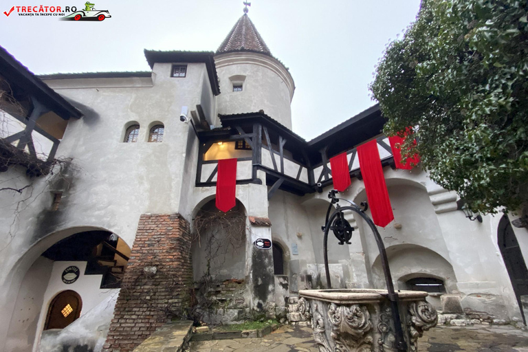 From Bucharest: Bear Sanctuary & Carpathian Castles Day Trip