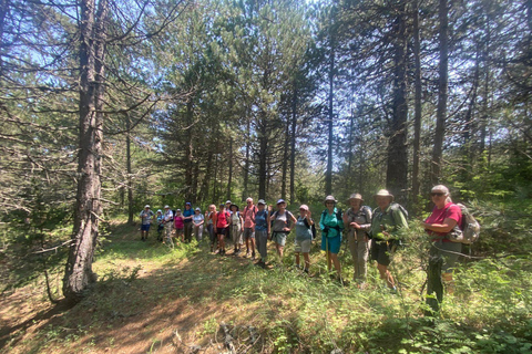 Tour of Korça & The Hidden Gems of Albania, 5 days