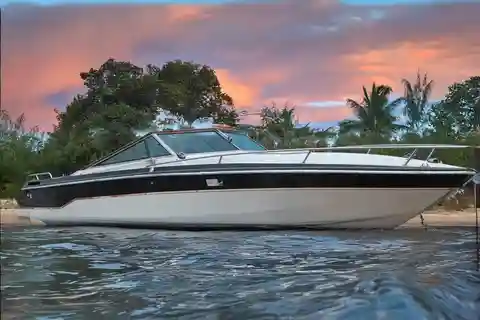 Born to Be Wild - Old-School Cruise on USA classic Speedboat
