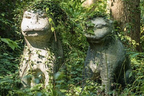 shanghai: Dongming Bamboo & Farm Picking Private Day Trip
