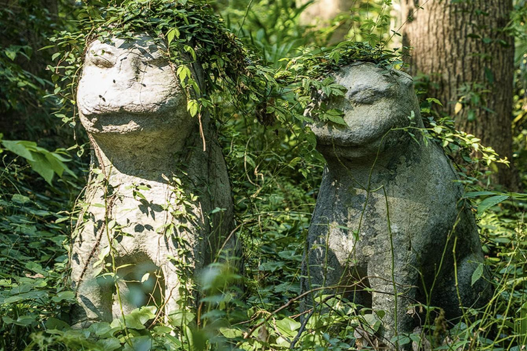 shanghai: Dongming Bamboo & Farm Picking Private Day Trip