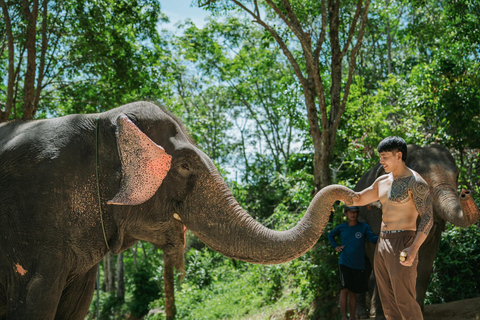 Phuket: Elefanten füttern bei Phuket Elephant CareAbholung vom Hotel in Phuket