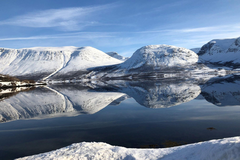 Tromsø Walsafari mit MS Gabriele