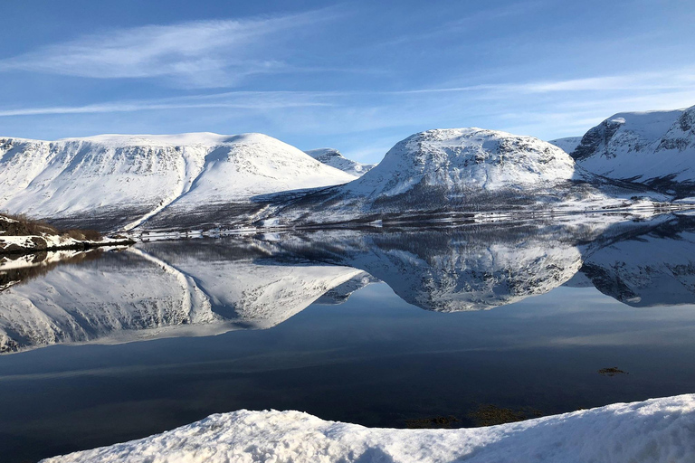 Safári de baleias em Tromsø com o MS Gabriele