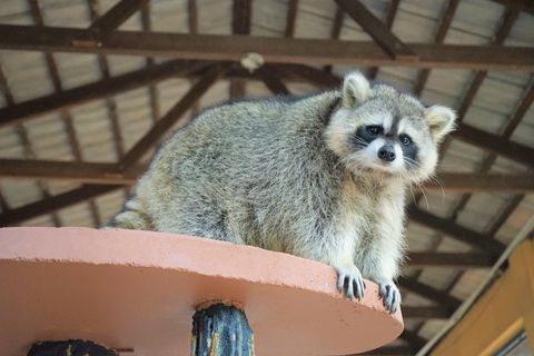 Kedah: Toegangsticket Wildpark LangkawiToegangsticket voor Maleisiërs