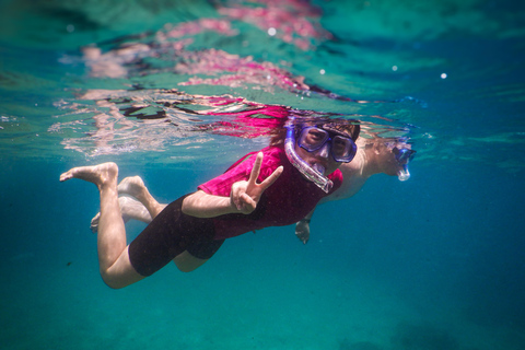 Excursion de plongée avec masque et tuba : Découvrez la vie marine impressionnante de Sydney