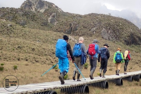 UGANDA RWENZORI — WATERFALLS &amp; MONTANE ALLURE | 6-Day Hike