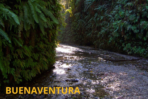 Cali: Trilha de montanha com guia e recolha ecológicaCali: Trilha na montanha com guia e coleta ecológica