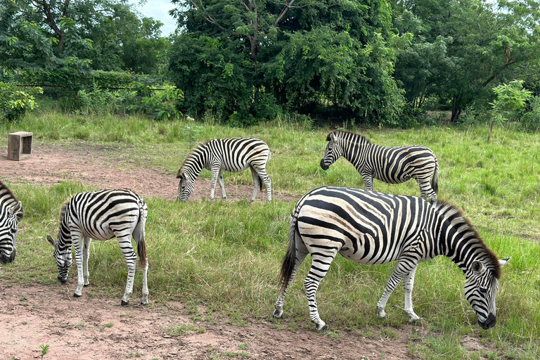 Accra: Guidad safaritur i Shai Hills resursreservat