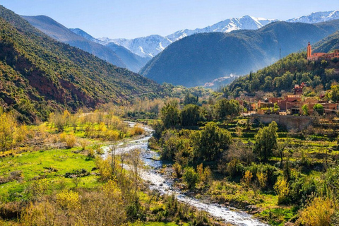 Marrakech: Ourika Valley, Waterfalls Private Trip with Lunch