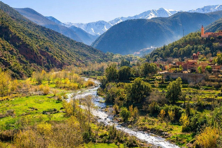 Marrakech: Ourika Valley, Waterfalls Private Trip with Lunch