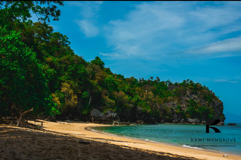Langkawi: Sharing Mangrove Boat Tour 4 Hours