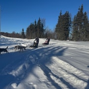 Fairbanks : 2 heures de cours de base de mushing