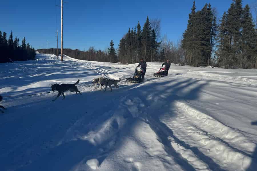 Fairbanks: 2-stündige Hundeschlitten-Schulung. Foto: GetYourGuide