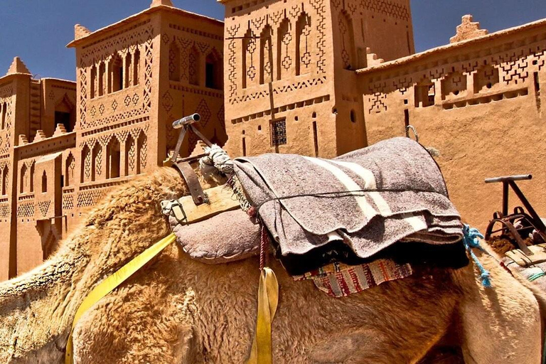 From Tangier to Marrakech via Desert in 4 Days (or Reverse) Luxury Option: Morocco Tour from Marrakech to Tangier
