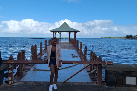 Viagem privada de 1 dia ao Sul da Maurícia