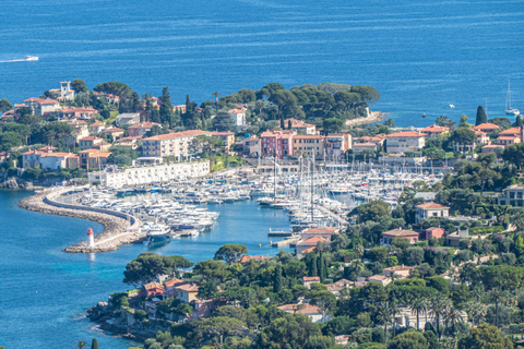 From Nice: Èze, Monaco, and Monte Carlo Guided Day Trip