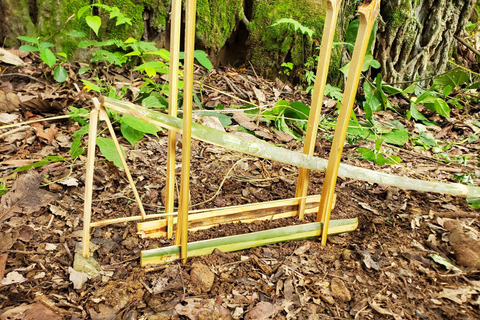 Curso de sobrevivência na floresta primária perto de Luang Prabang.