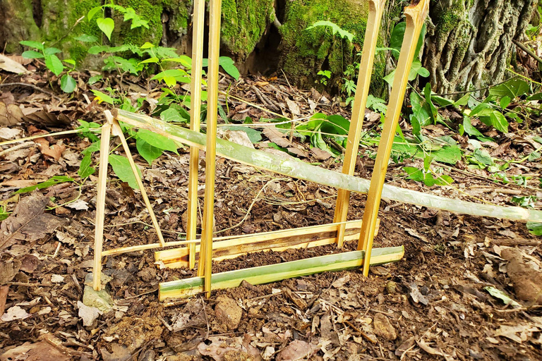 Survival course in the primary forest near Luang Prabang.