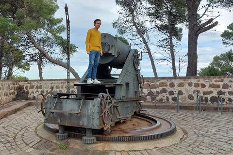 Barcelona: Private City Tour