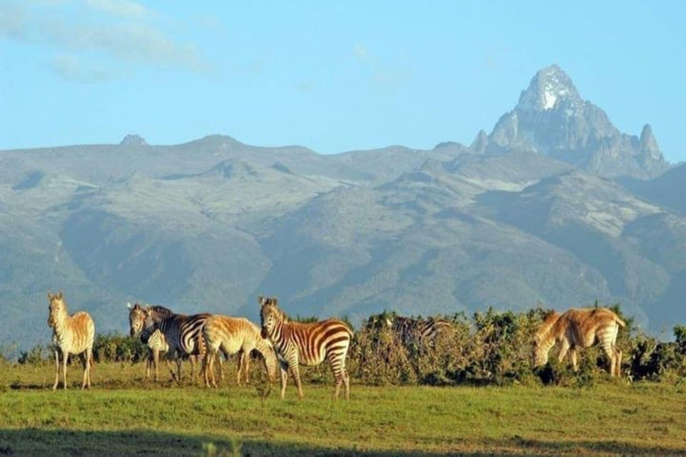 Vanuit Nairobi: Mount Kenia wandel- en safaritocht