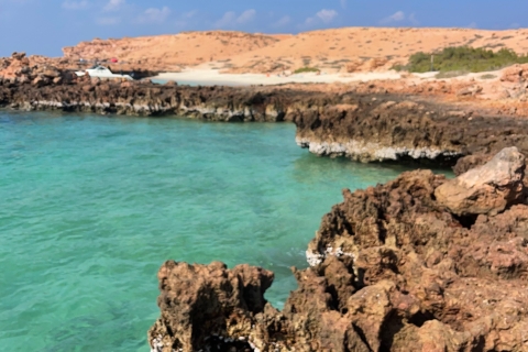 Muscat: Schnorchelausflug zu den Daymaniat Inseln