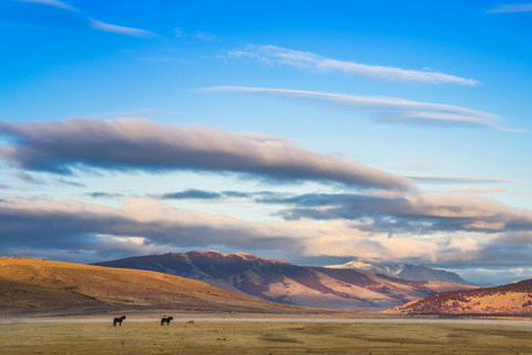 阿根廷：潘帕斯草原上的高乔骑马探险