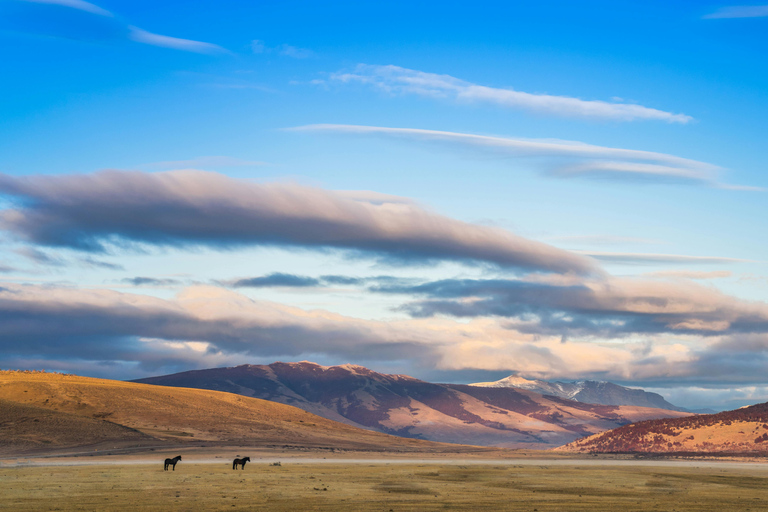 阿根廷：潘帕斯草原上的高乔骑马探险
