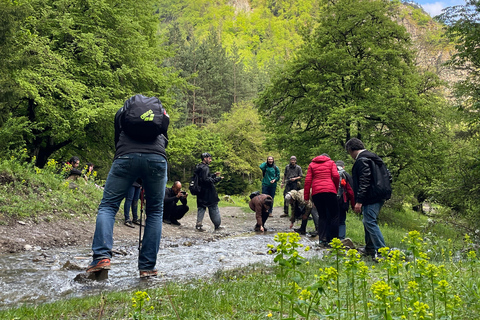 Kutaisi Wilderness Trek: 4-Day Pure Hike Tour