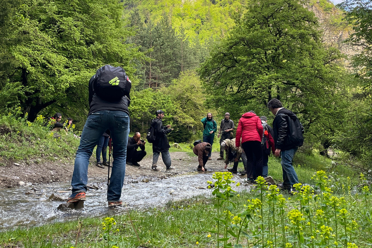 Kutaisi Wilderness Trek: Excursión de 4 días a pie puro