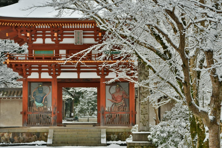 Osaka: Nara’s Hidden-gem Temples, Art Forest Day Tour