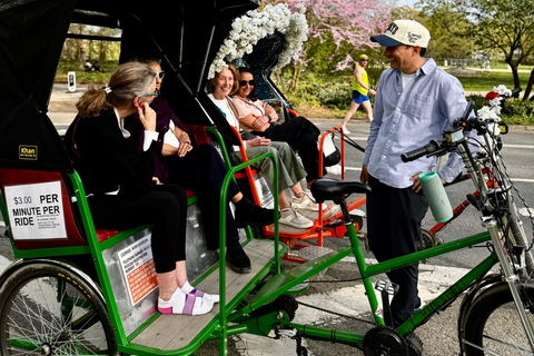 NYC: Central Park Storytelling Pedicab Tour with Theater Central Park Pedicab Tour - Deluxe 1.5 Hour Experience