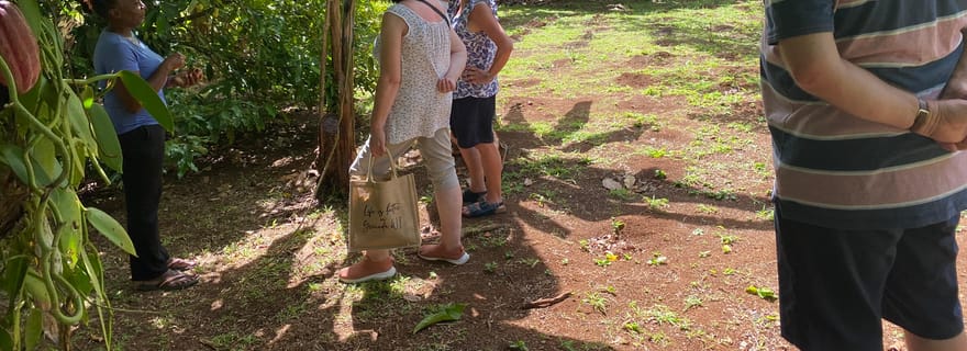 George's : Visite d'une demi-journée des épices et des chutes d'eau